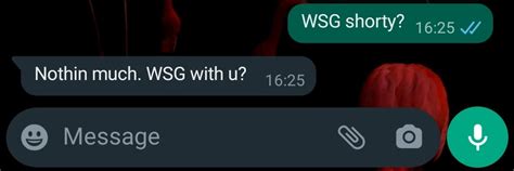 what does wsg mean in texting|WSG Meaning: What Does WSG Mean in Texting and。